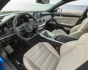 Kia Stinger blue details  (6)